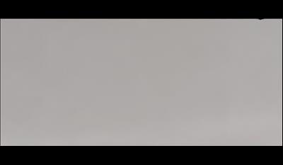 Bianco Assoluto Quartz