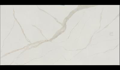 Calacatta Michelangelo Porcelain