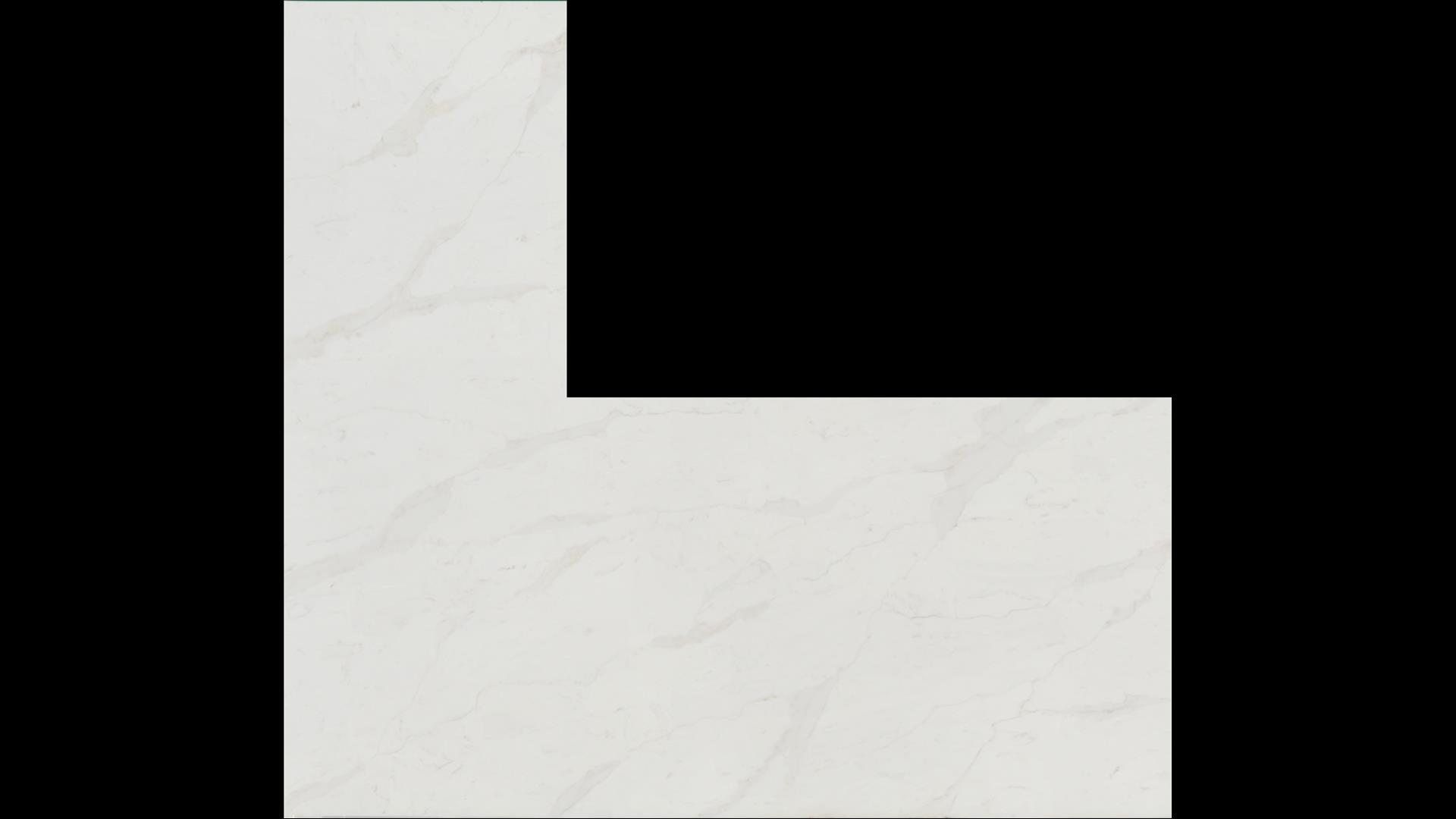 Calacatta Amora Quartz Slabs