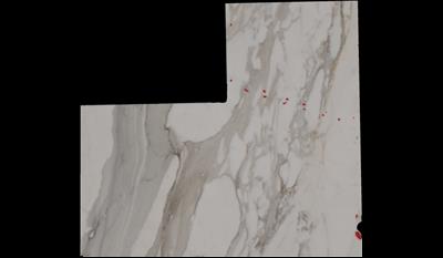 Calacatta Borghini Marble