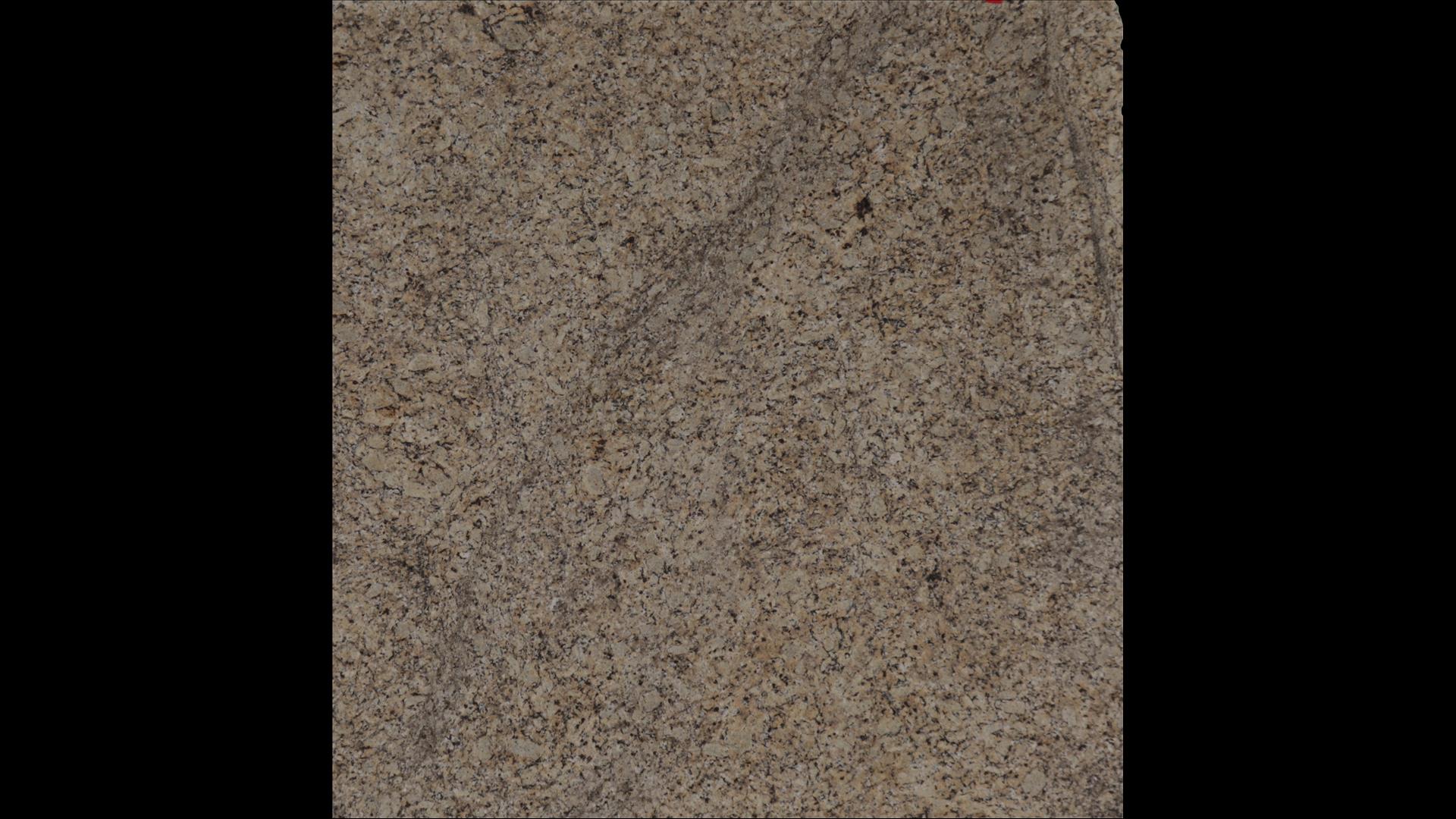 Santa Venetian Granite Slabs