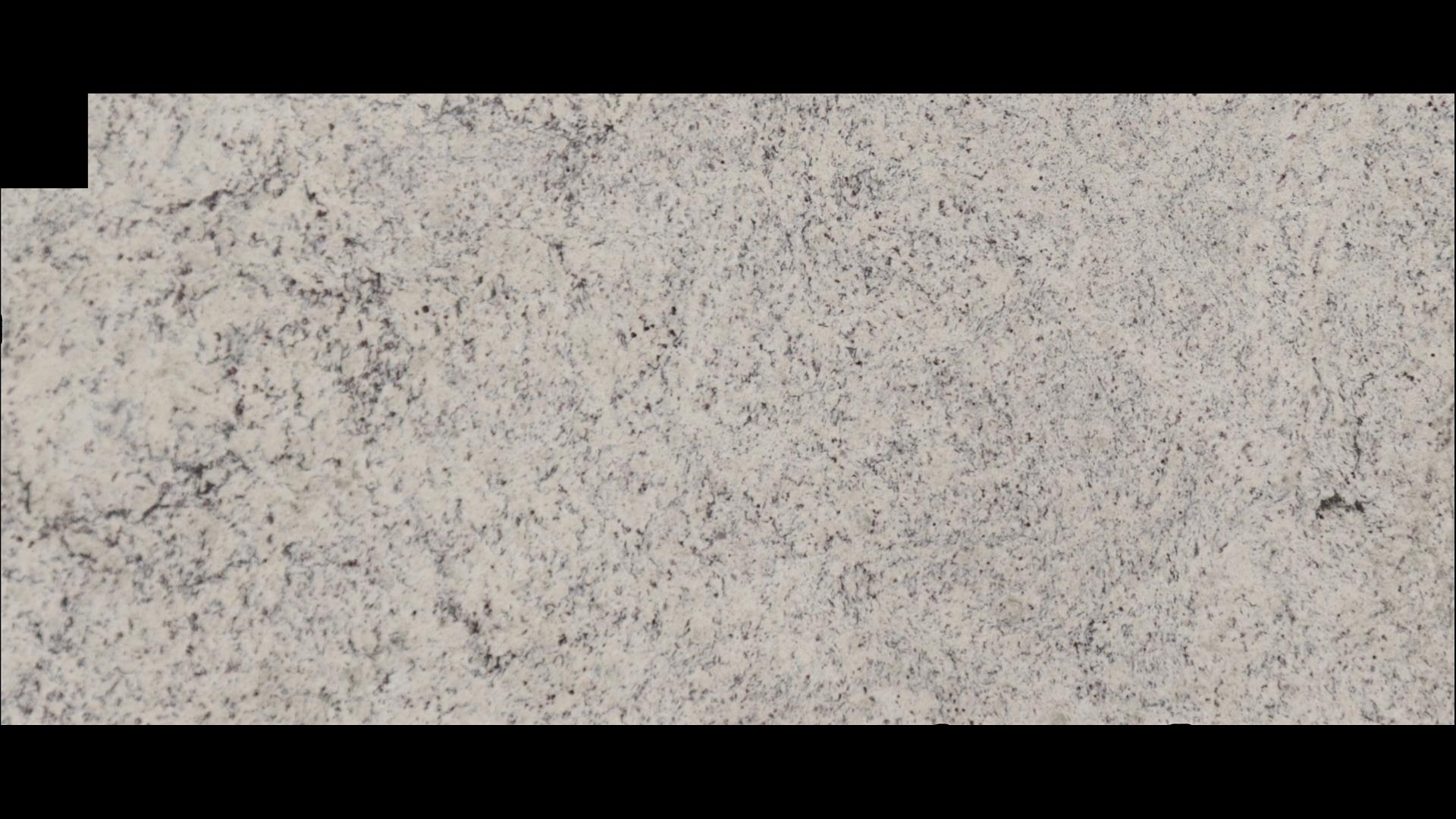 White Dallas Granite Slabs