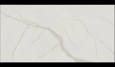 Calacatta Michelangelo Porcelain