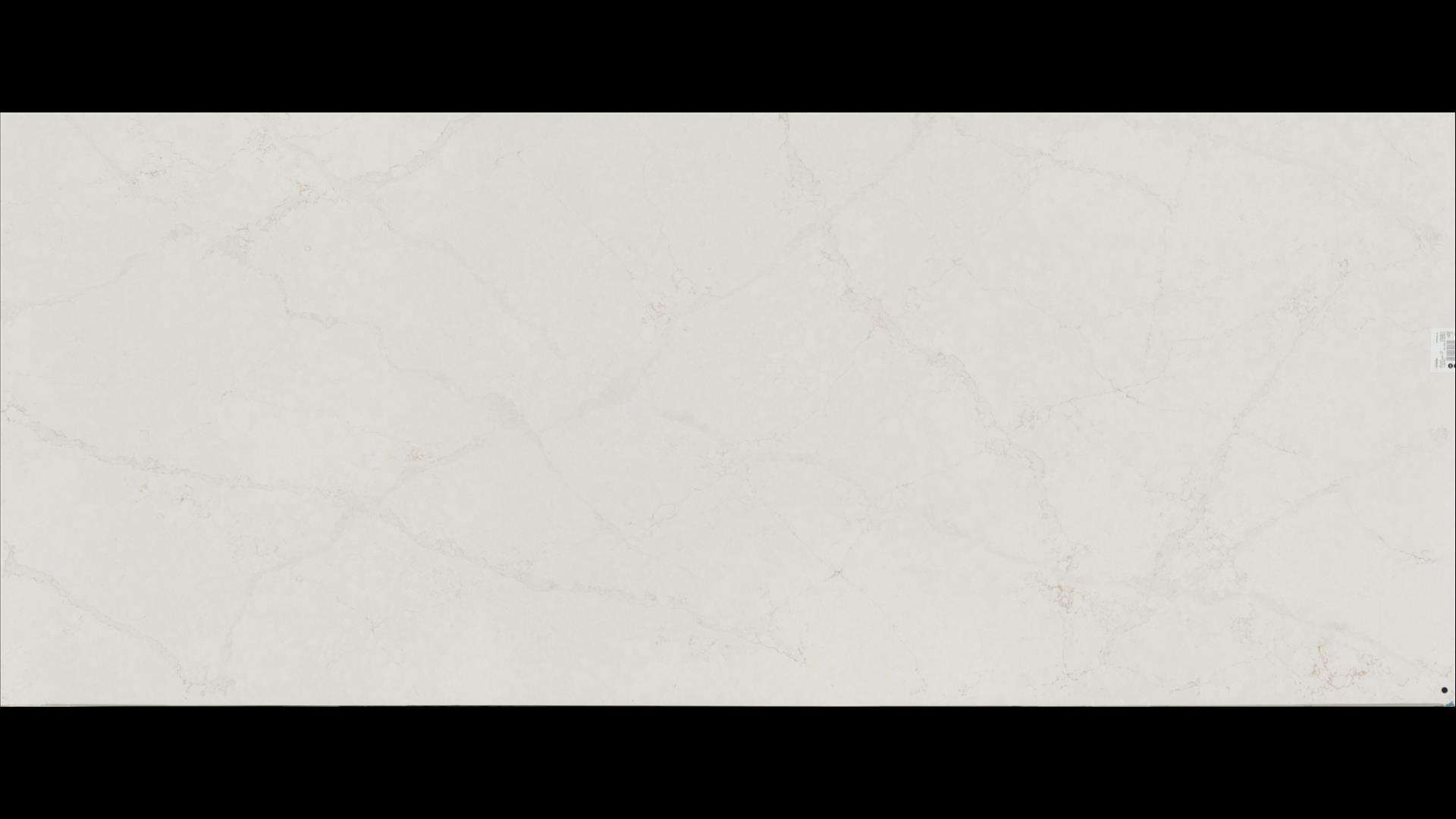 Blanc Elysse Quartz Slabs