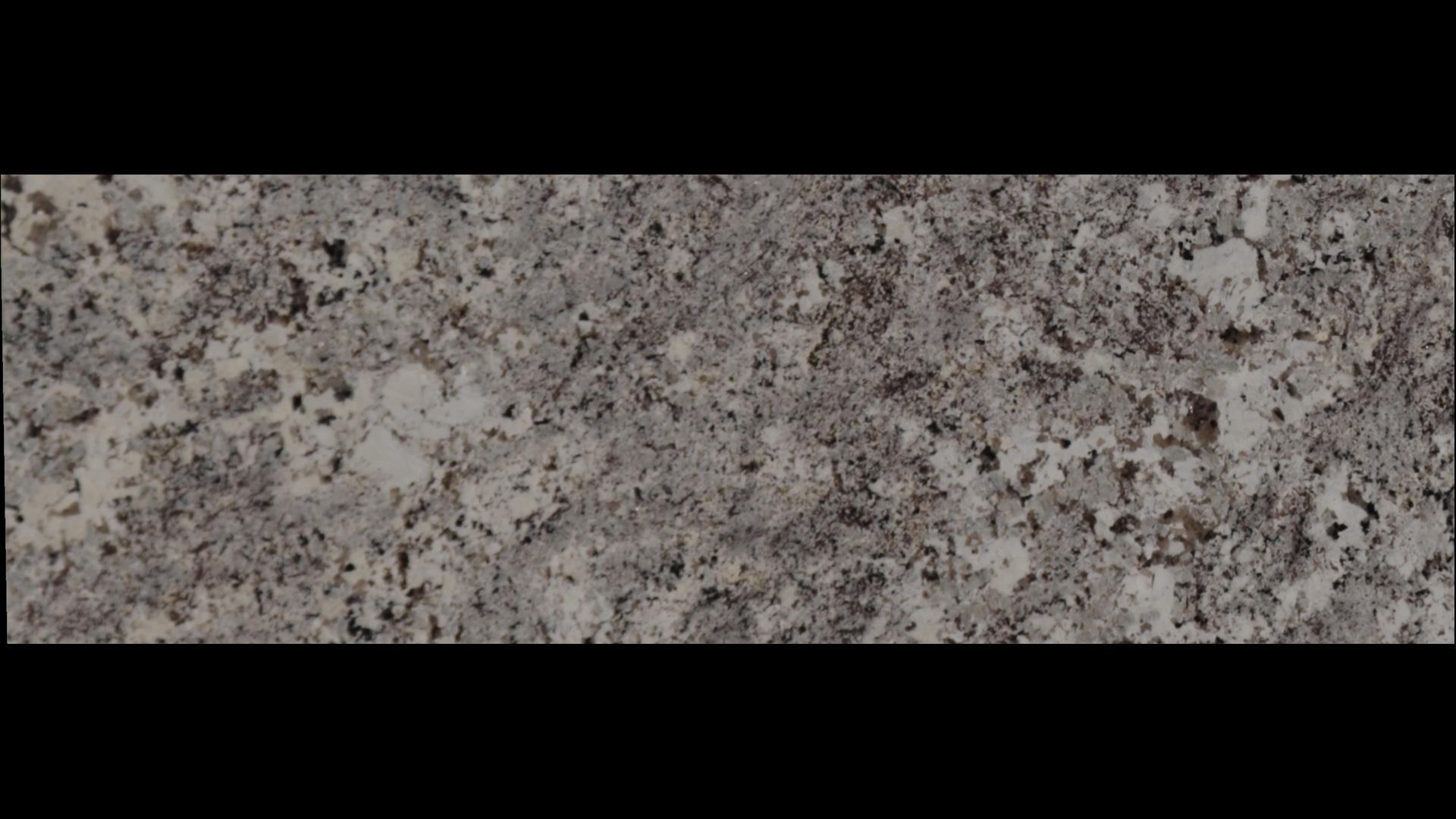 Alaska White Granite Slabs