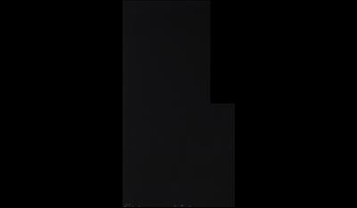 Absolute Black Granite