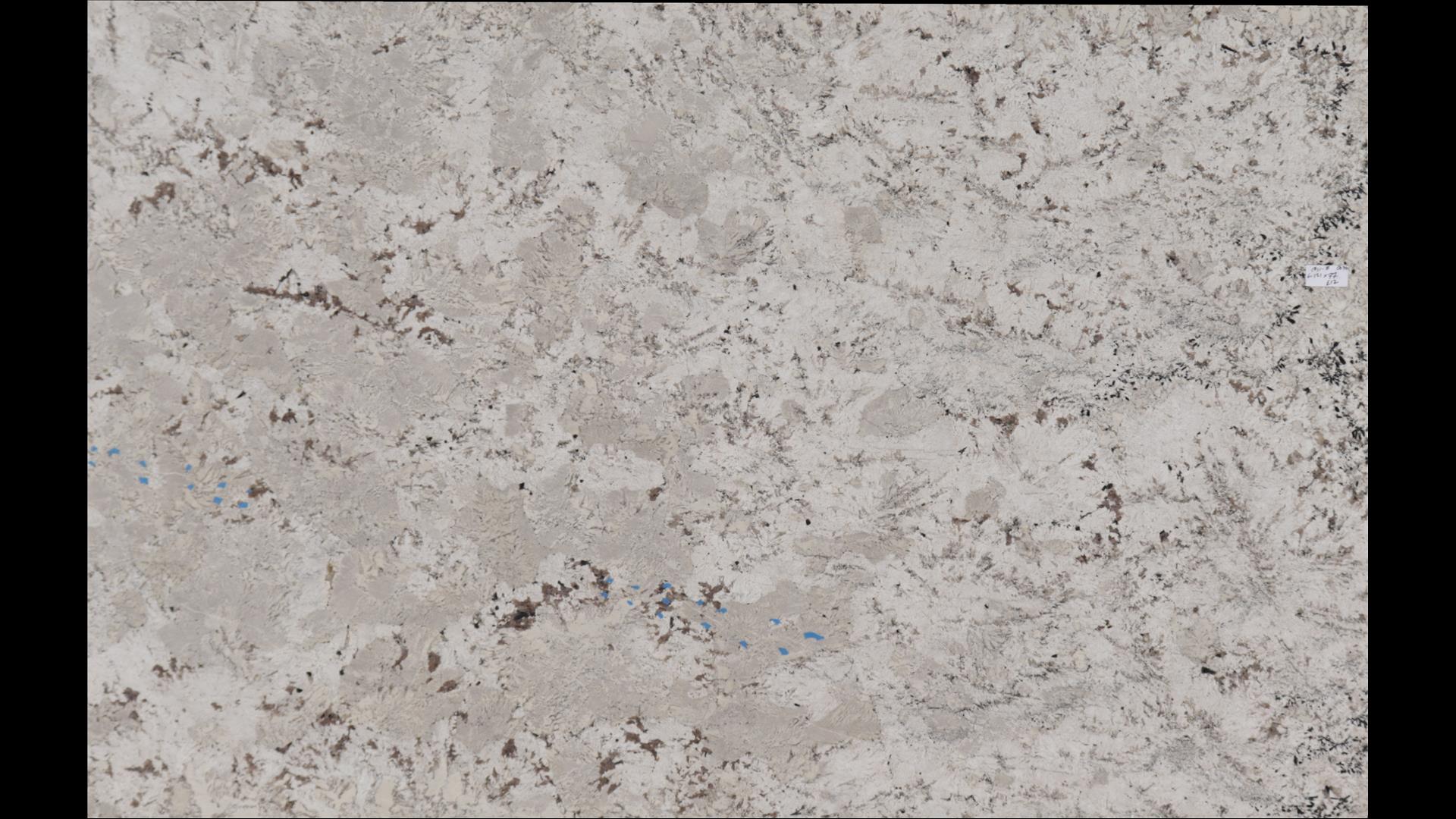 Adonis White Granite Slabs