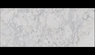 Calacatta Crema Marble