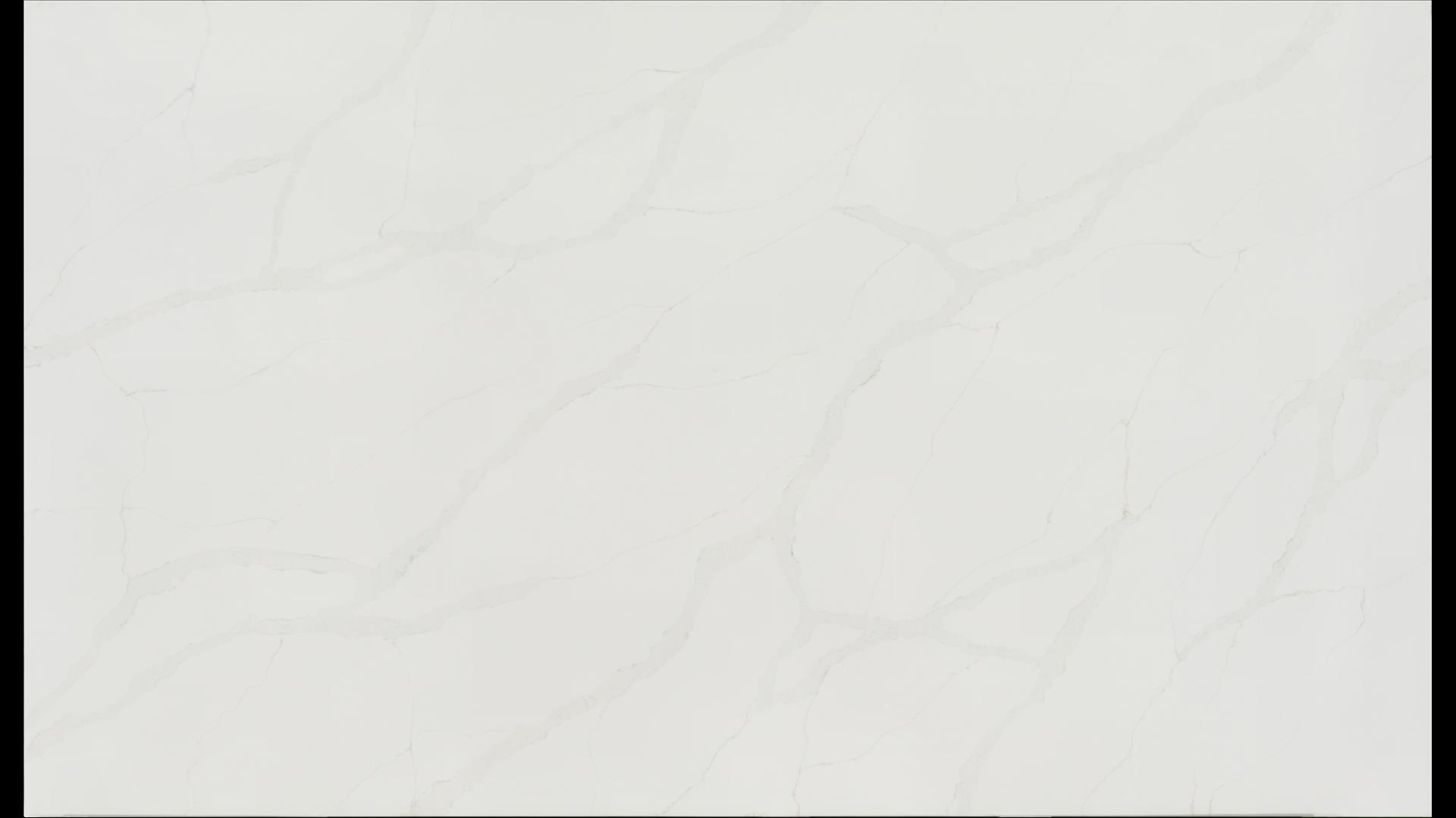 Calacatta Lore Quartz Slabs