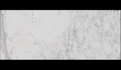 Calacatta Crema Marble