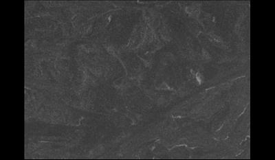 Jet Mist Granite