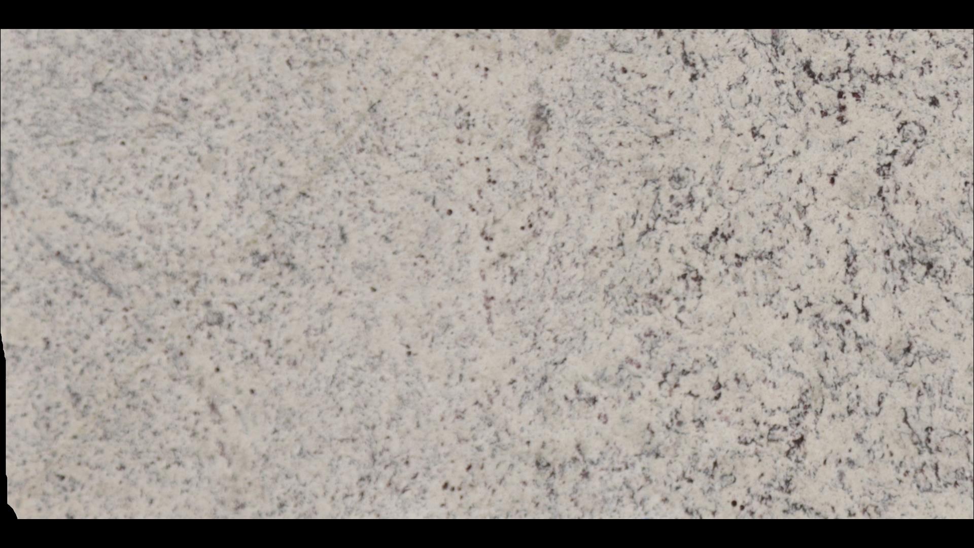 White Dallas Granite Slabs