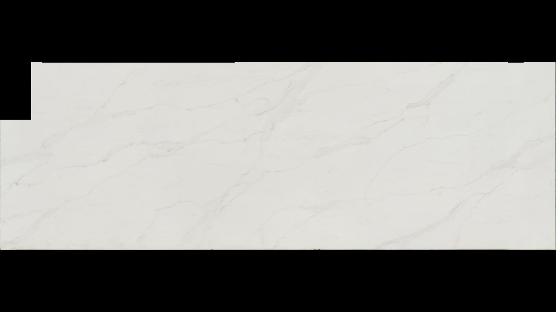 Calacatta Amora Quartz Slabs