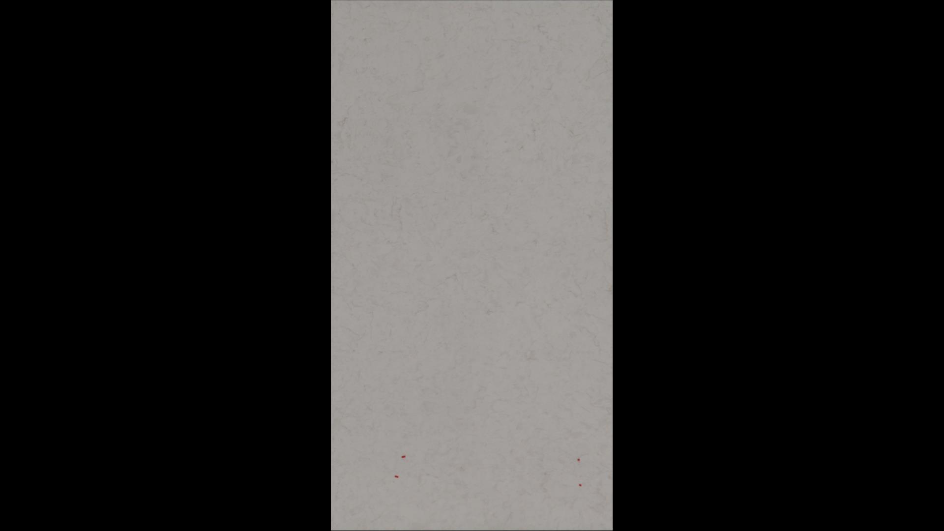 Bianco Neve Quartz Slabs