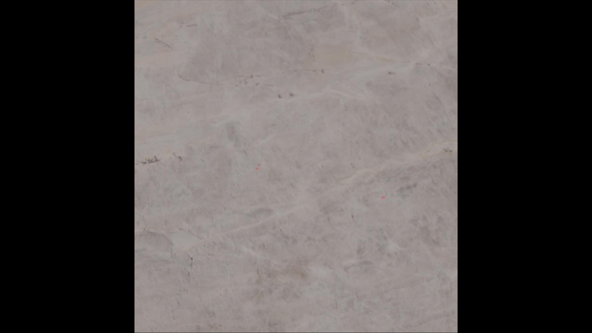 Parana White Quartzite Slabs