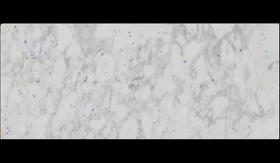 Calacatta Crema Marble