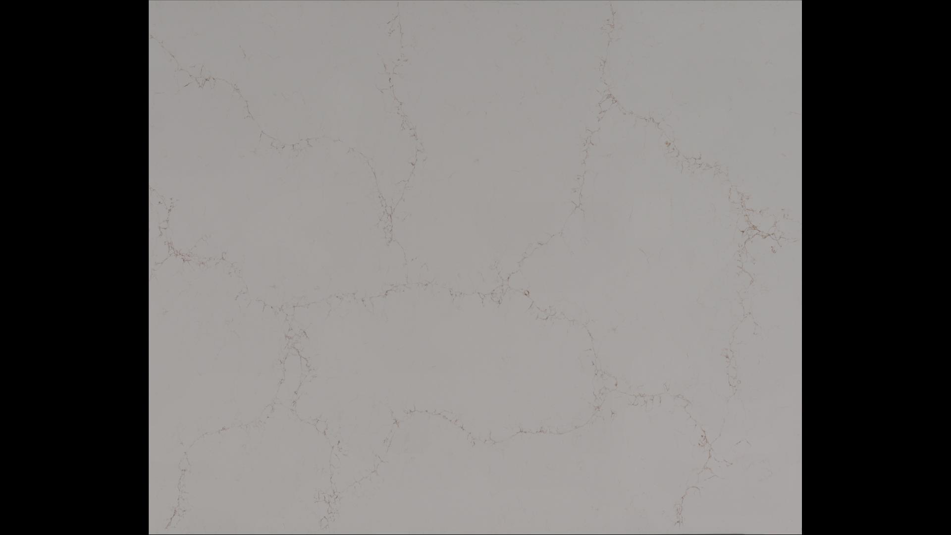 Myora Gold Quartz Slabs