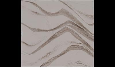 Brittanicca Gold Limited Edition Quartz