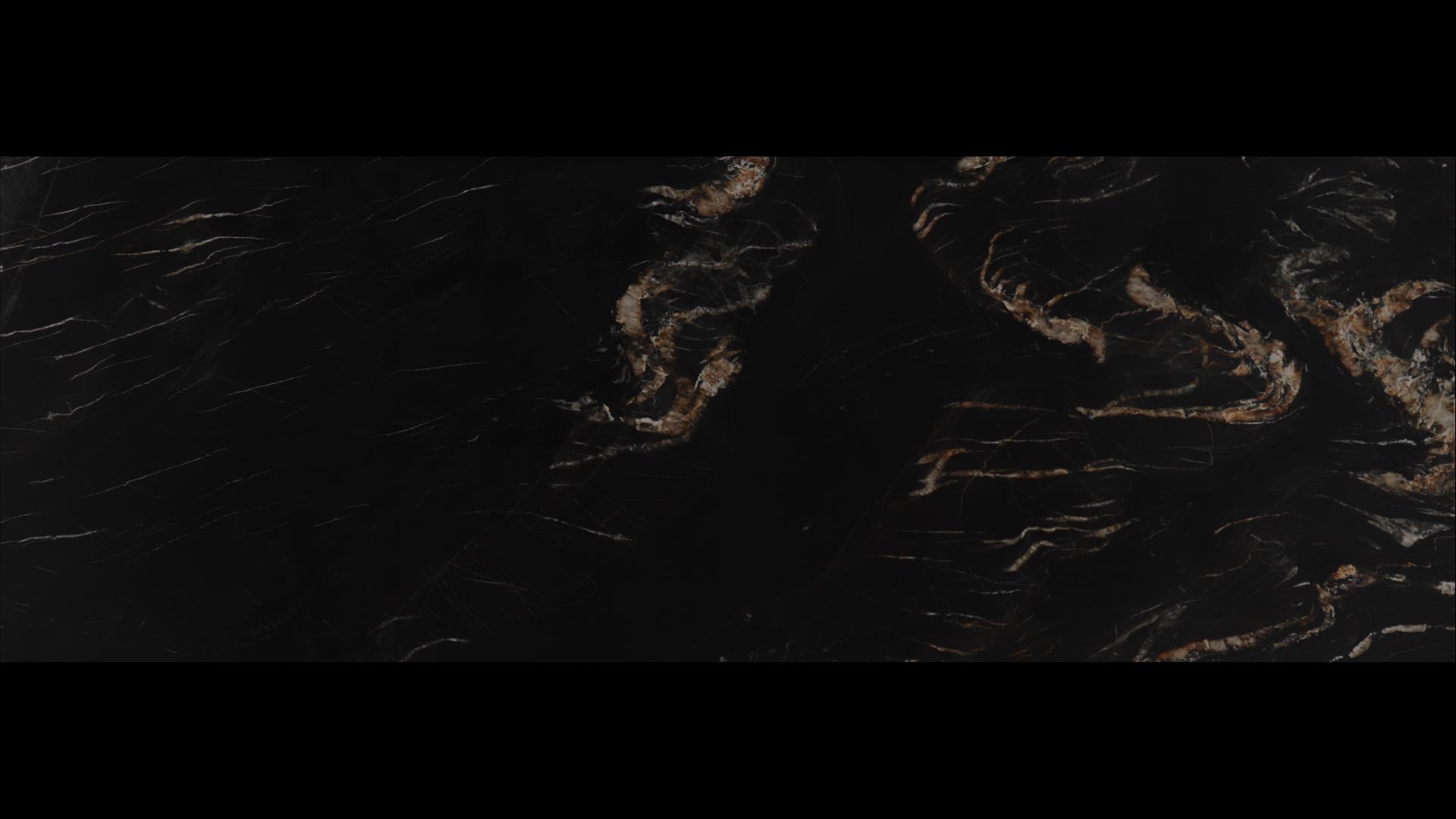 Belvedere Gold Quartzite Slabs