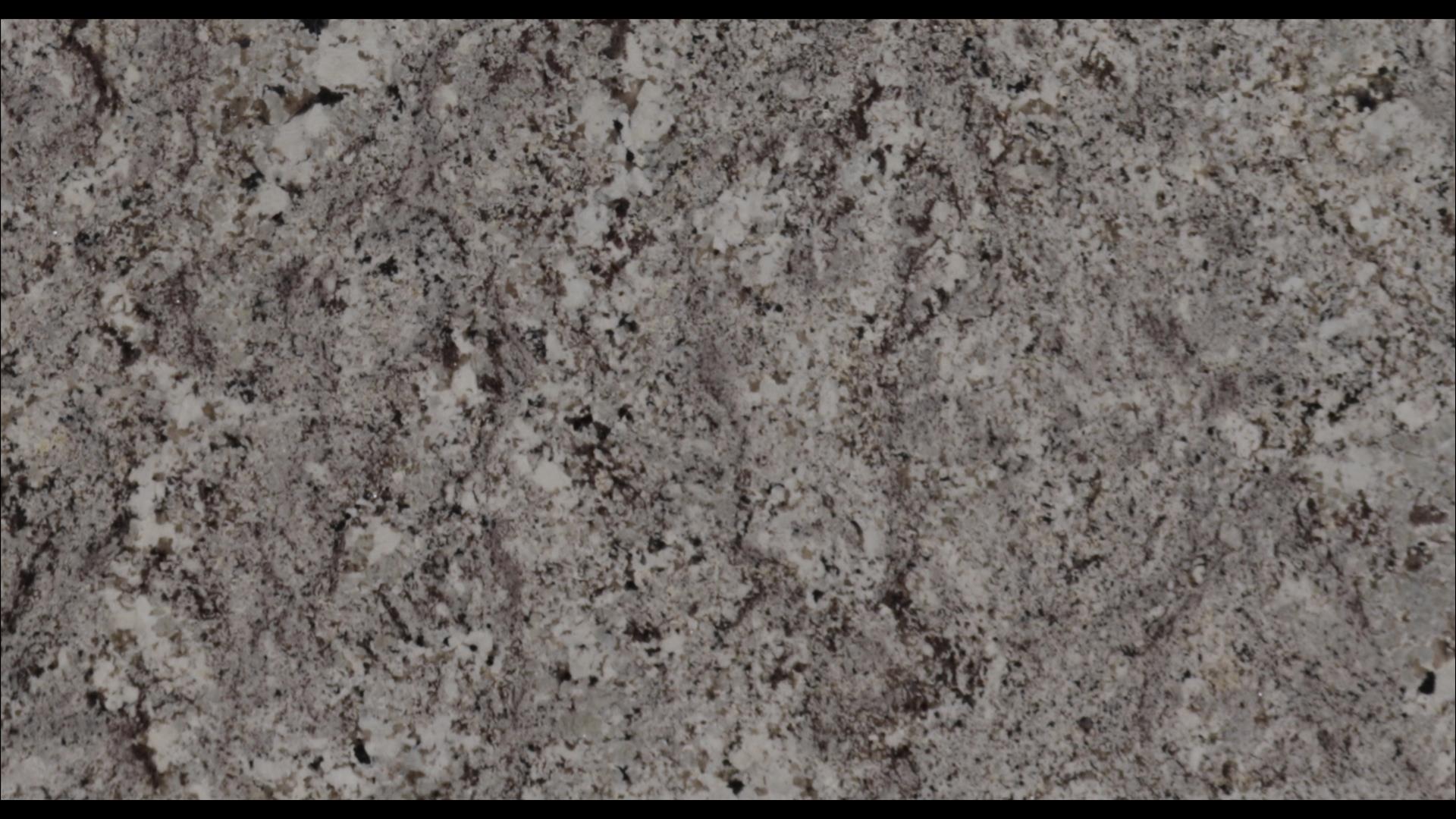 Alaska White Granite Slabs