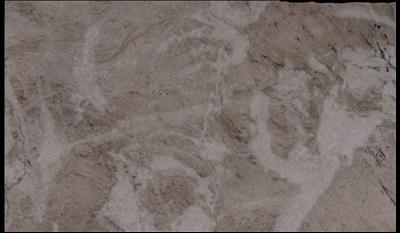 Venaria Reale Quartzite