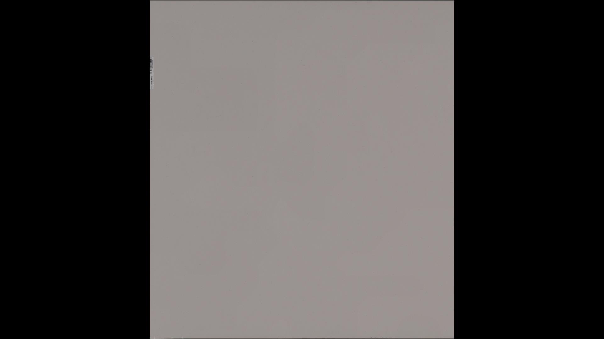 Lincoln White Quartz Slabs