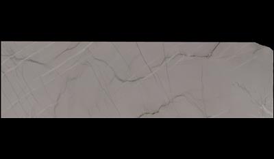 Swan Quartzite
