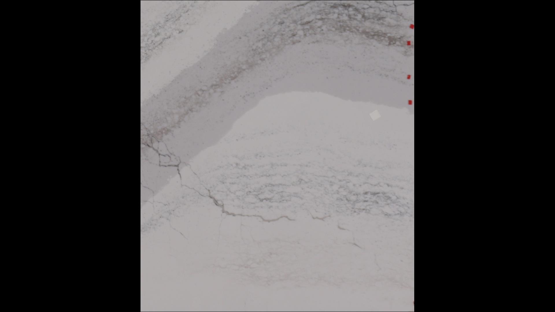 Windsor Brass Quartz Slabs