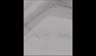 Windsor Brass Quartz