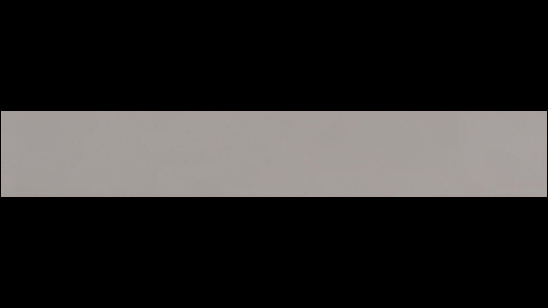 Organic White  Quartz Slabs