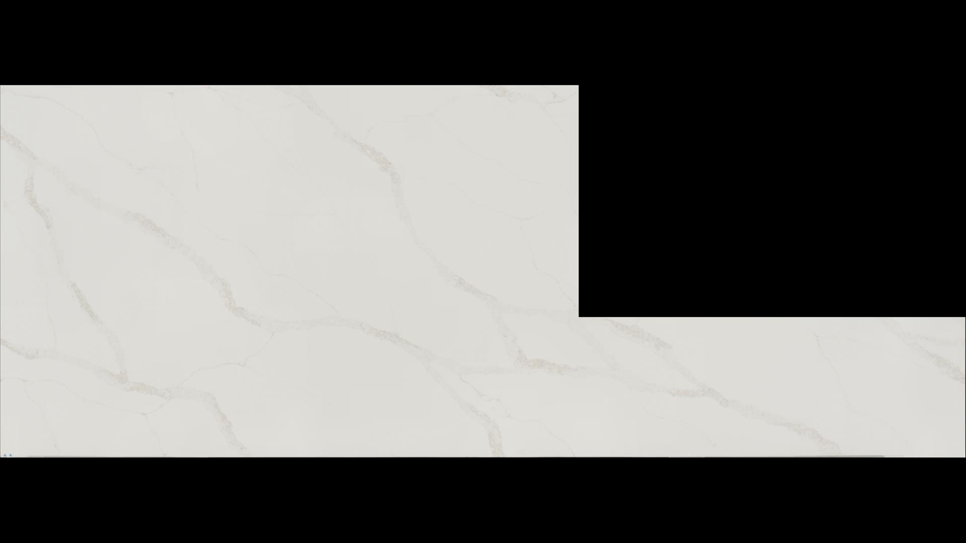 Calacatta Lumiere Quartz Slabs