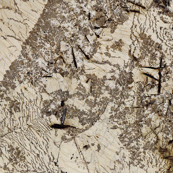 BLANC DU BLANC Granite Slabs