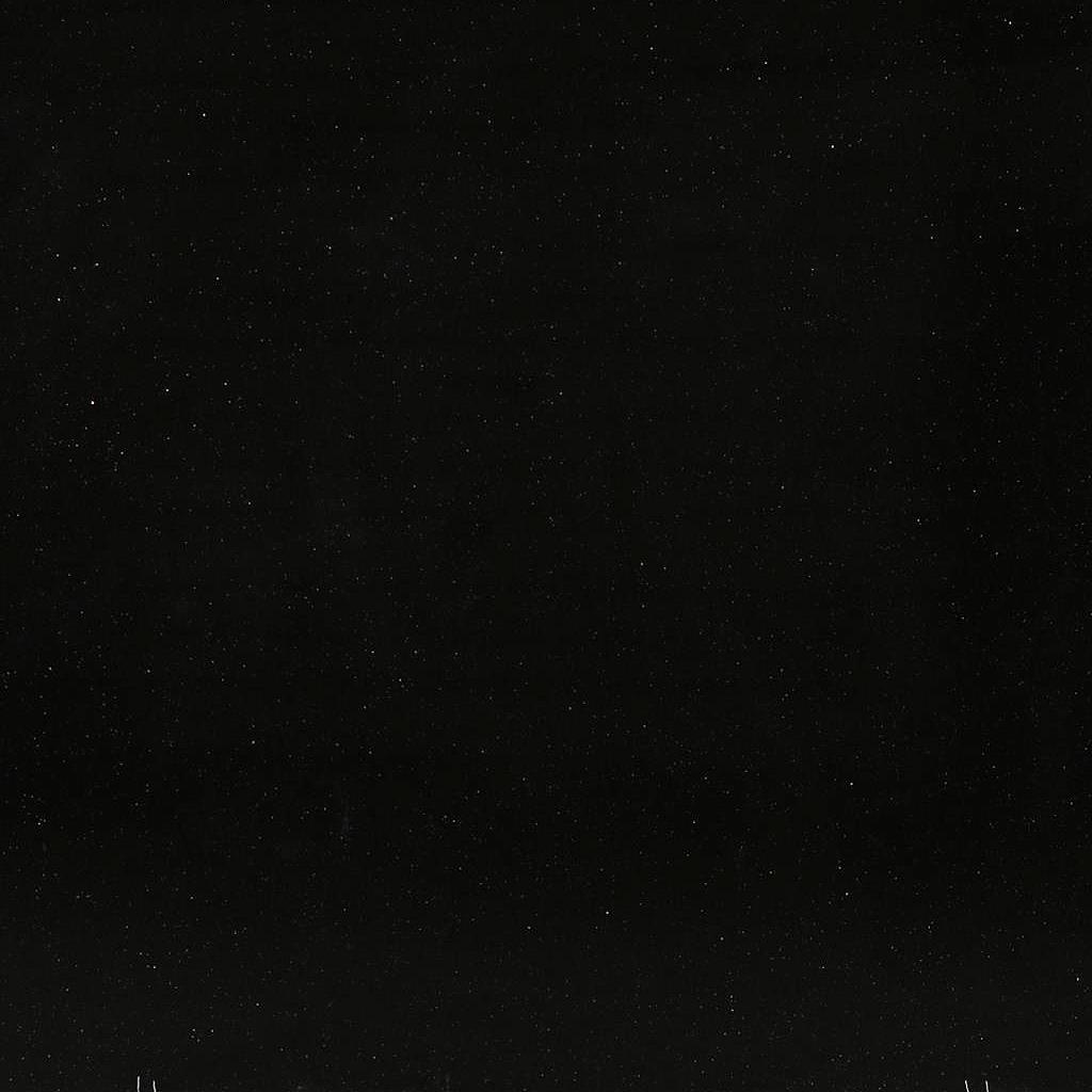 Black Galaxy Granite Slabs