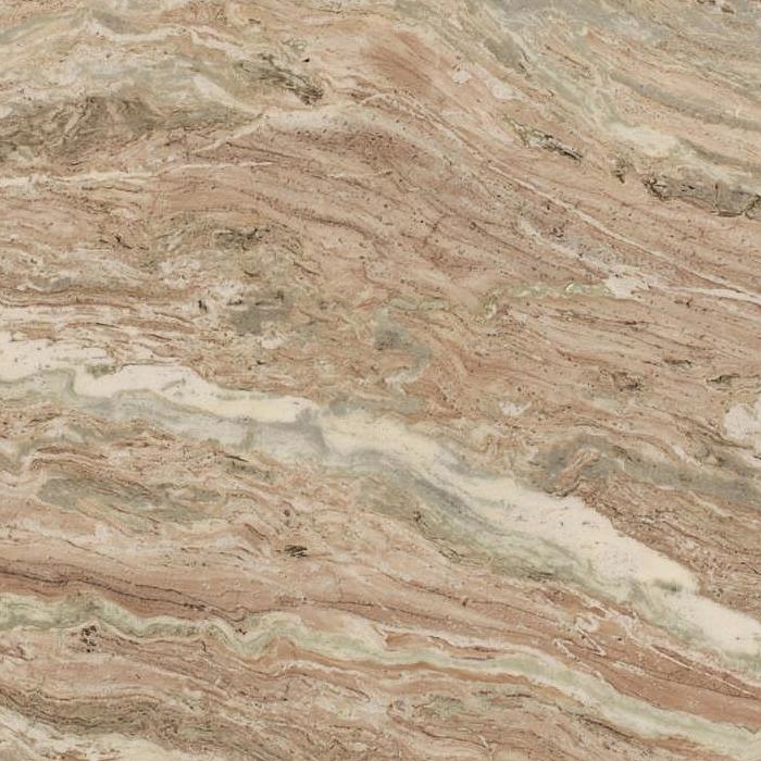 Fantasy Brown Leathered (S/O) Specialty Stone Slabs