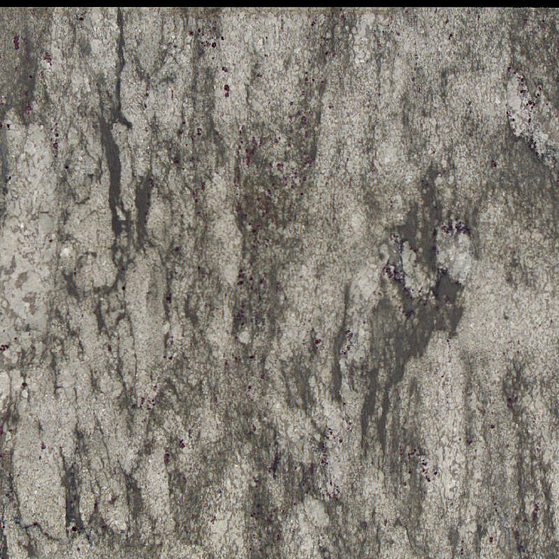 BIANCO ROMANO Granite Slabs