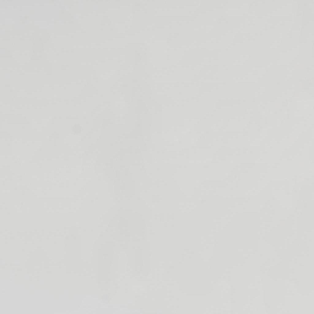 White Zen Quartz Quartz Slabs