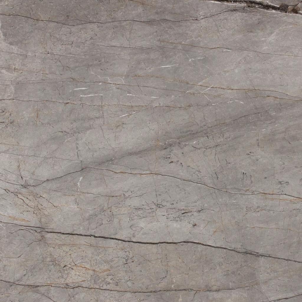 SILVER ROOTS Marble Slabs