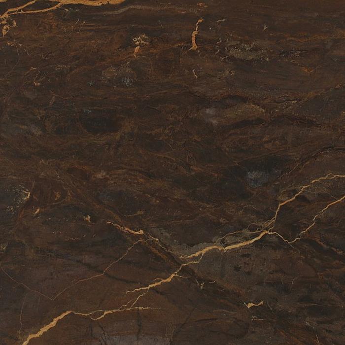 Bronzite  Quartzite Slabs