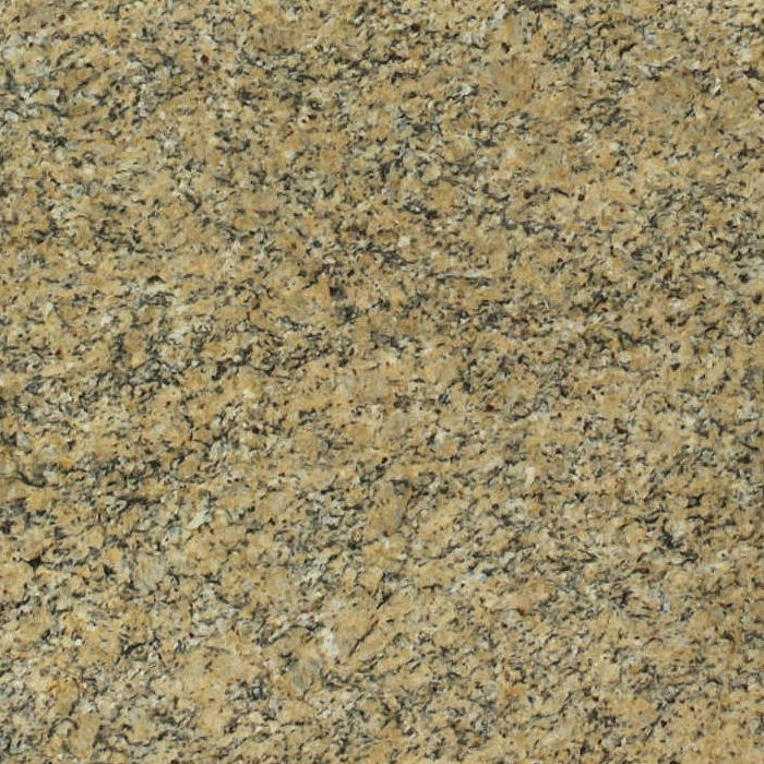 New Venitian Gold Granite Slabs