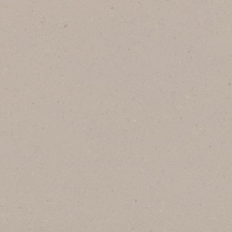 Clamshell | 4130 Caesarstone Quartz Slabs