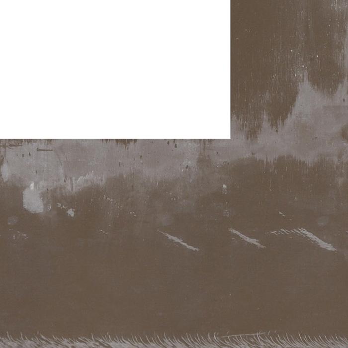 Fossil Brown quartz Slabs