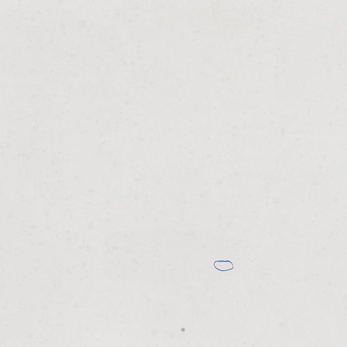 SNOW STORM POLISHED 128X63 Engineered Stone Slabs