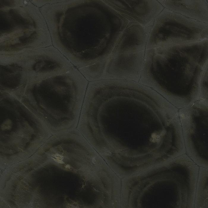 Tortuga Bay Quartzite Slabs