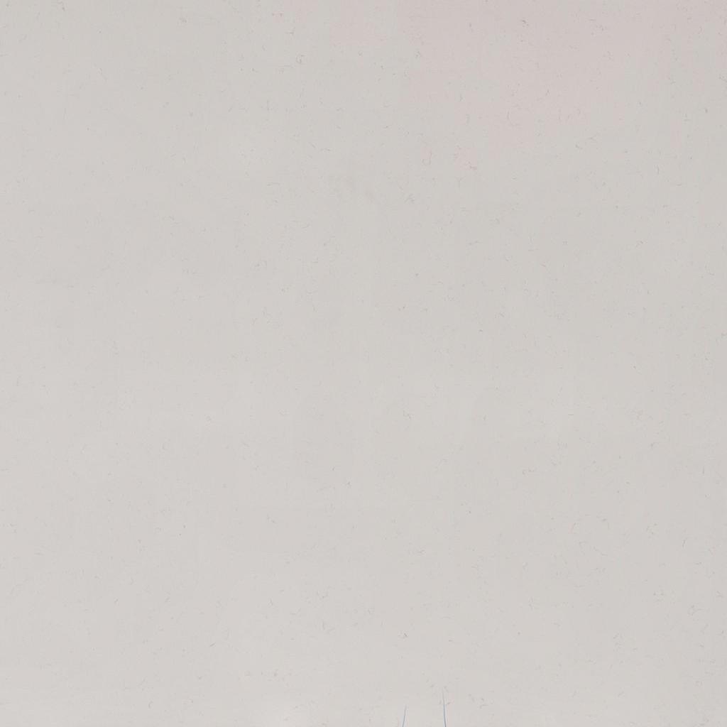 CARRARA  BREVE Q Quartz Slabs