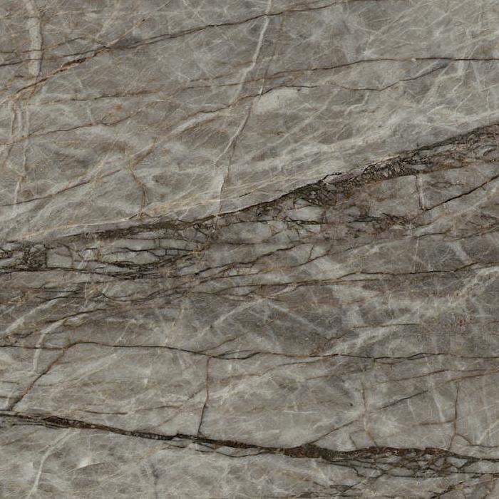 Crisrallo Roots Quartzite Slabs