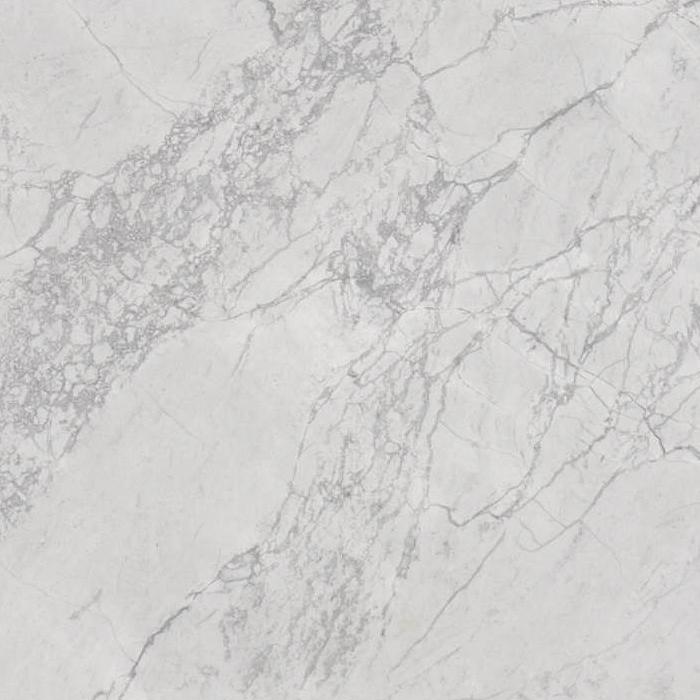 cal da vinci dolomite Slabs