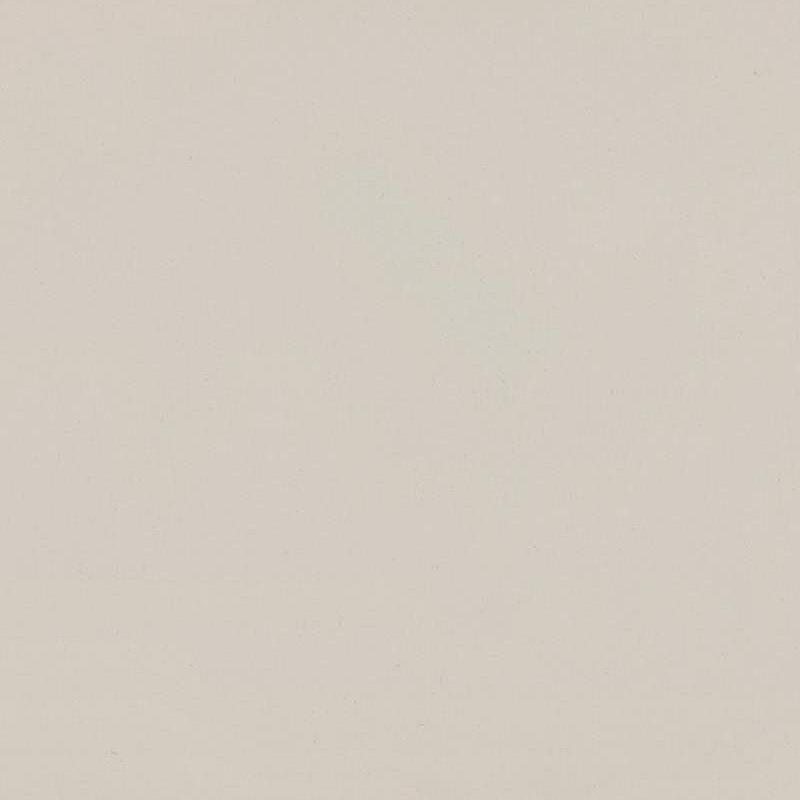 Misty Carrera | 4141 Caesarstone Quartz Slabs