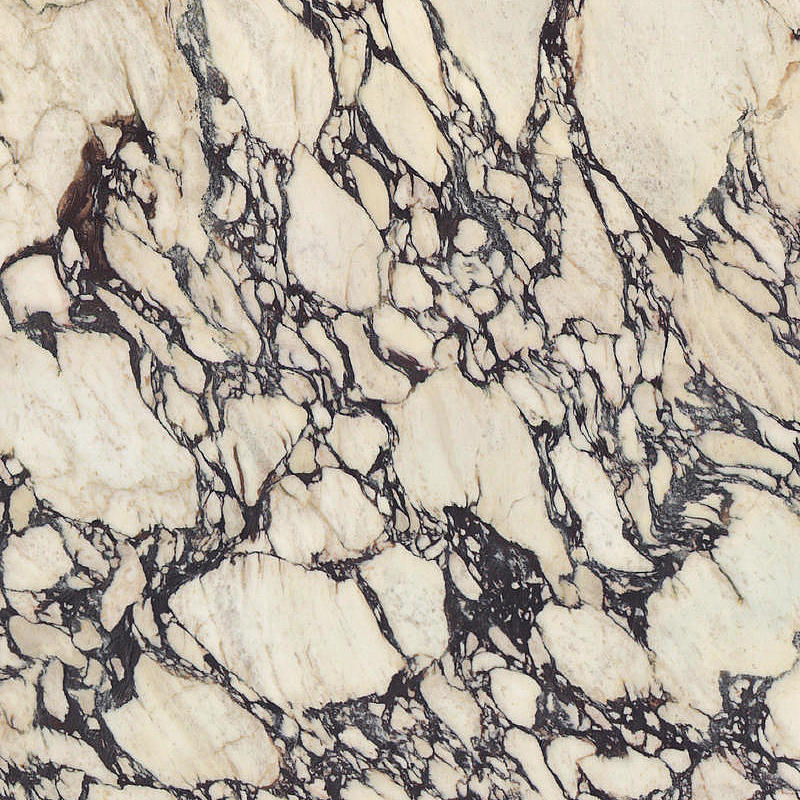 CALACATTA VIOLA EXTRA HONED Marble Slabs