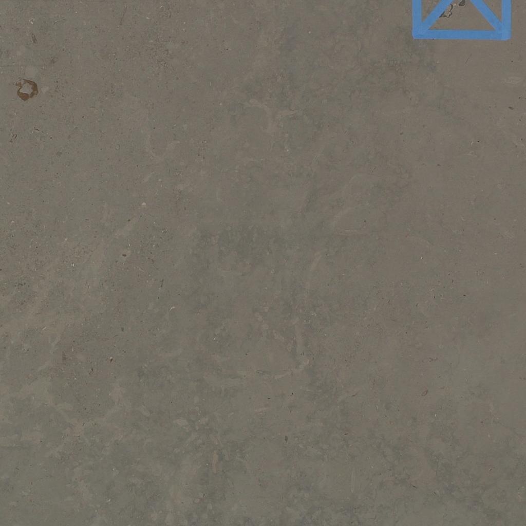 Fossil Grey Marble Slabs