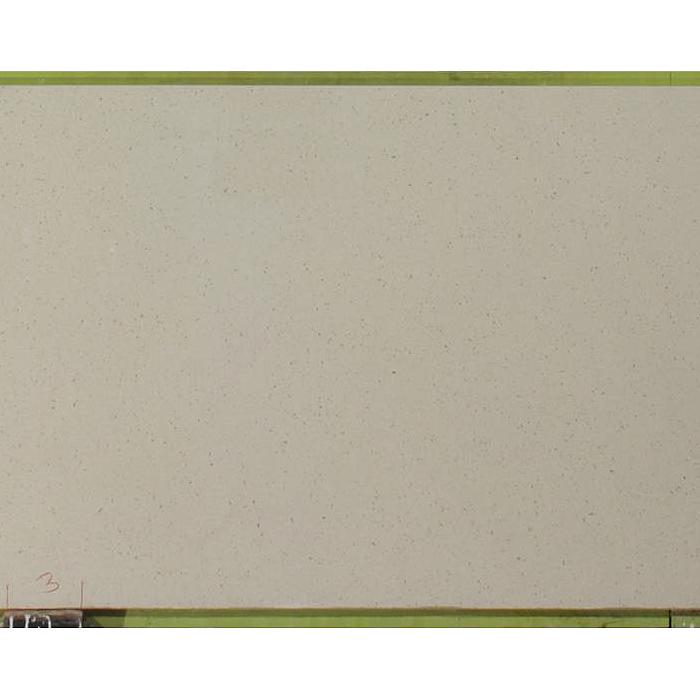 Crystal Reef 2CM 119x56 Quartz Slabs